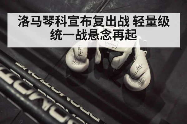 洛马琴科宣布复出战 轻量级统一战悬念再起