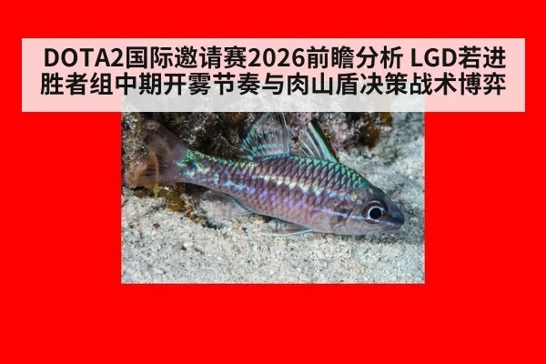 DOTA2国际邀请赛2026前瞻分析 LGD若进胜者组中期开雾节奏与肉山盾决策战术博弈