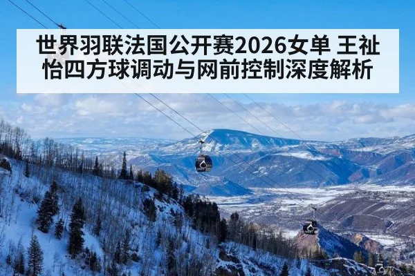 世界羽联法国公开赛2026女单 王祉怡四方球调动与网前控制深度解析